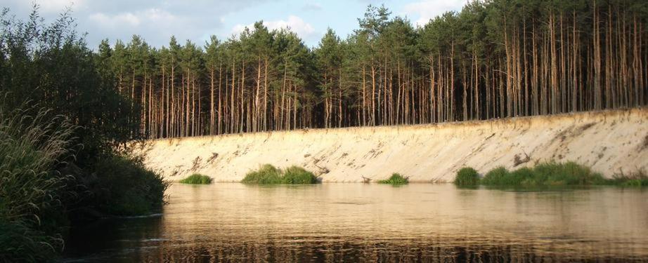 Domki Nad Pilica Krzetow Luaran gambar