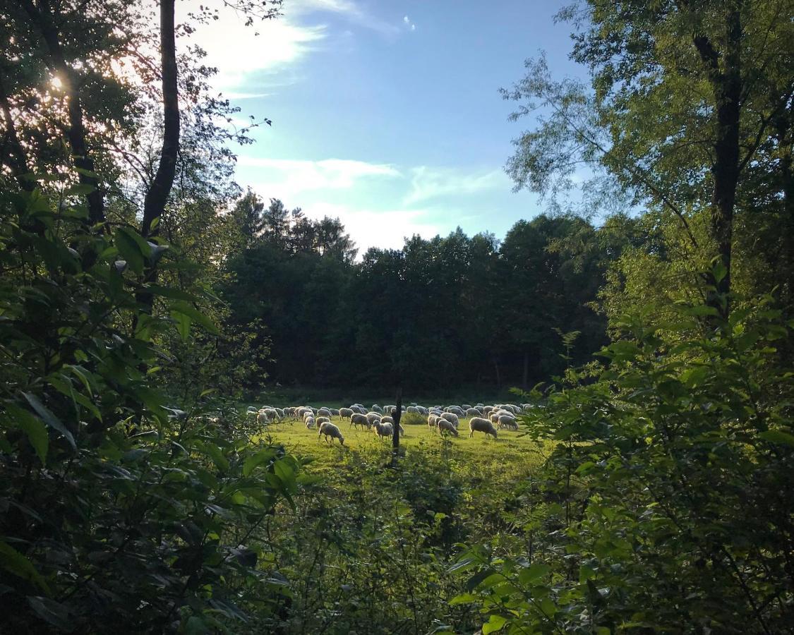 Domki Nad Pilica Krzetow Luaran gambar