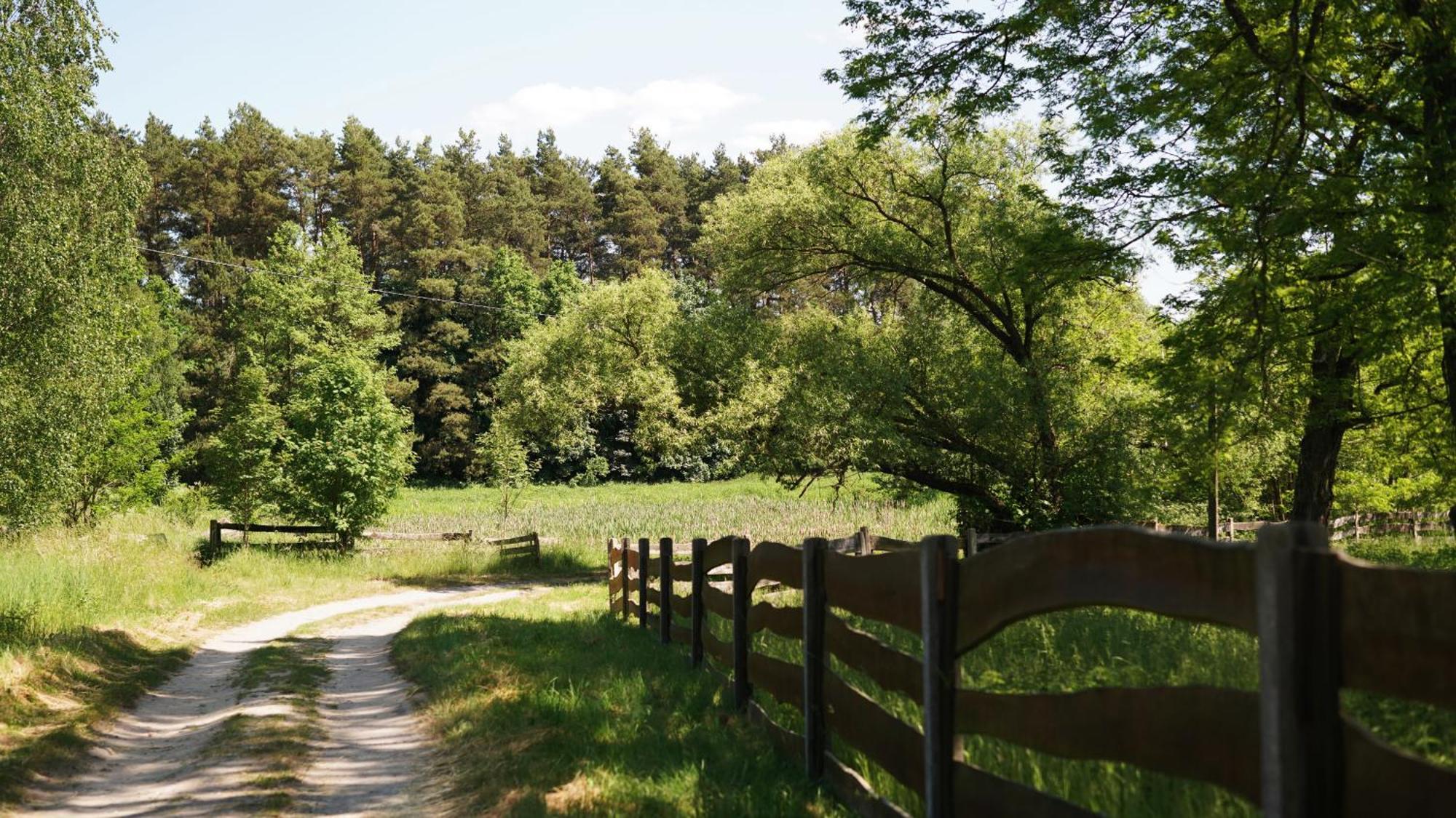 Domki Nad Pilica Krzetow Luaran gambar