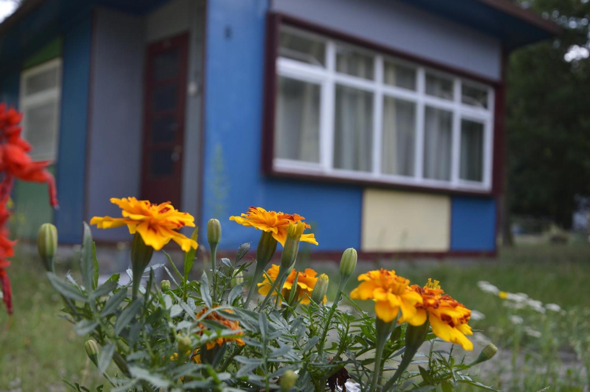 Domki Nad Pilica Krzetow Bilik gambar